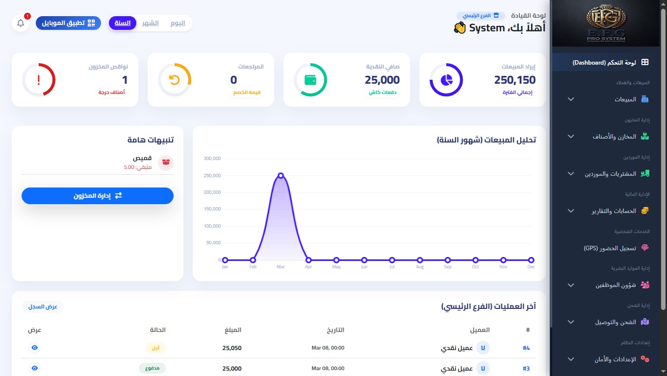 واجهة برنامج الحسابات ERP EFG Pro